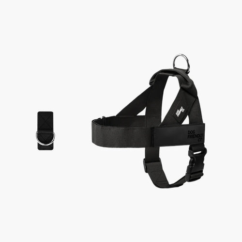 Offrez un confort supérieur à votre chien lors de chaque promenade